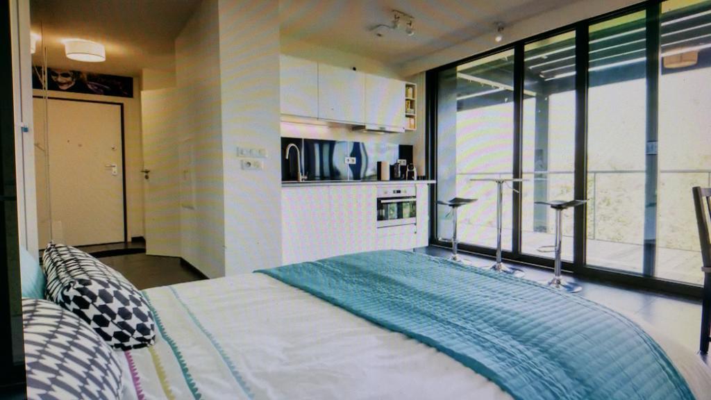 Studio Avec Terrace Au Doc Strasbourg Extérieur photo